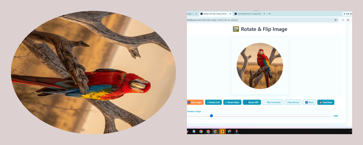collage ai 8